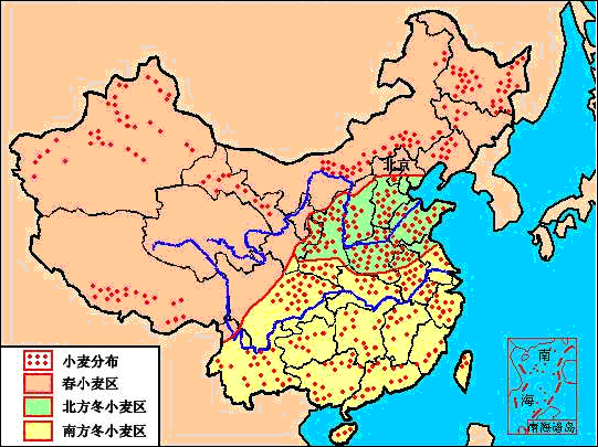 小麦主产区分布示意图