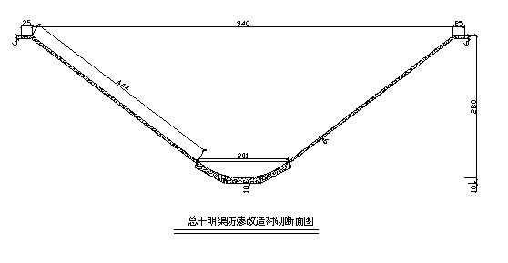 总干明渠防渗改造衬砌断面图