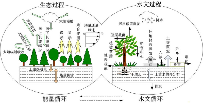 河流域水资源与水环境综合管理项目工作简报(