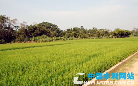 中国节水灌溉网 - 水利部农业水价综合改革第二