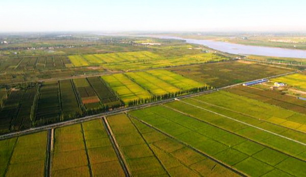 宁夏自治区人口_宁夏自治区地图(3)